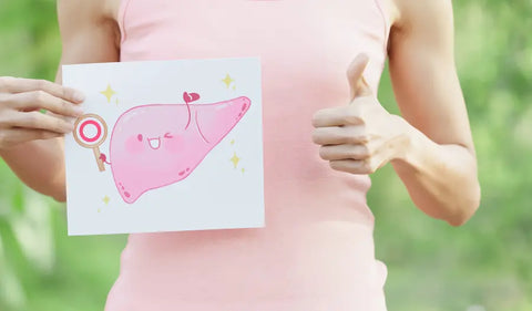 What Are The Best Liver Supplements? HerbsPro