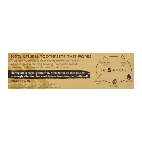 Redmond, Silver Earth Paste Mineral Toothpaste Wintergreen, 4 Oz Redmond