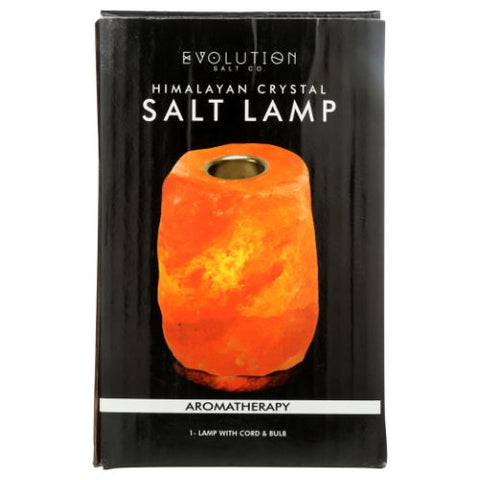 Evolution Salt, Aromatherapy Salt Lamp, 1 Count Evolution Salt