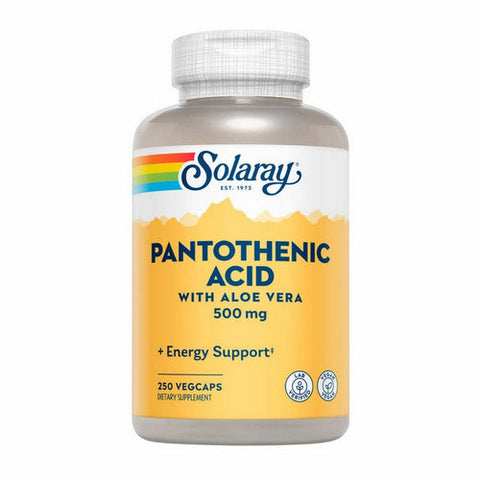 Solaray, Pantothenic Acid With Aloe Vera, 500 mg, 250 Caps