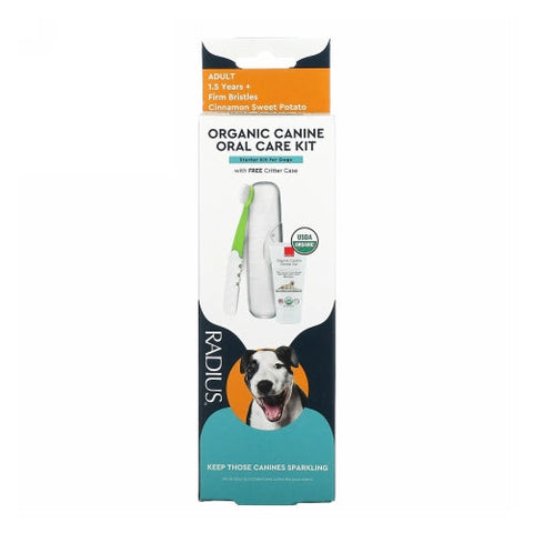 Cat Dental Care