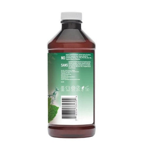 Desert Essence, Prebiotic Plant-Based Brushing Rinse Mint, 15.8 Oz Desert Essence