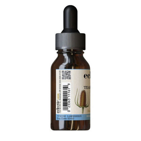 Eclectic Herb, Teasel Root Extract, 1 Oz