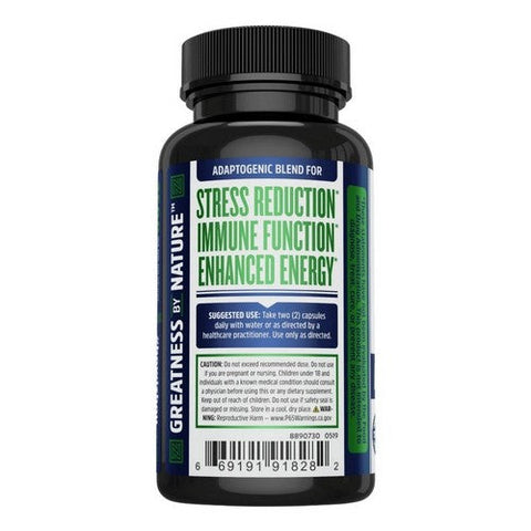 Zhou Nutrition, Ashwagandha, 60 Count Zhou Nutrition