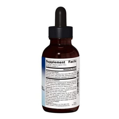 Planetary Herbals, Well Child Echinacea-Elderberry Syrup, 2 Fl Oz Planetary Herbals