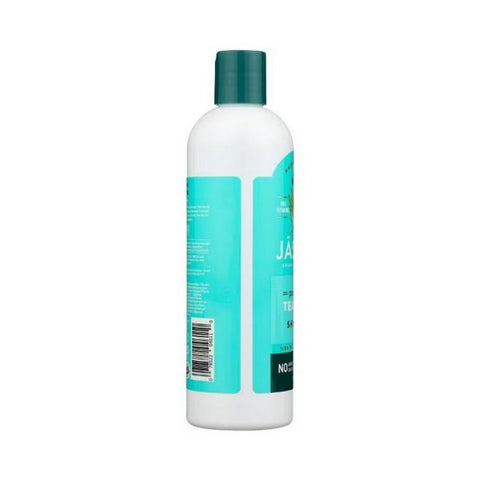 Jason Natural Products, Hair Remedies Purifying Tea Tree Shampoo, 12 Oz Jason Natural Products