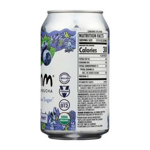 Humm Kombucha, Blueberry Mint Kombucha, 12 Oz (Case Of 6) Humm Kombucha