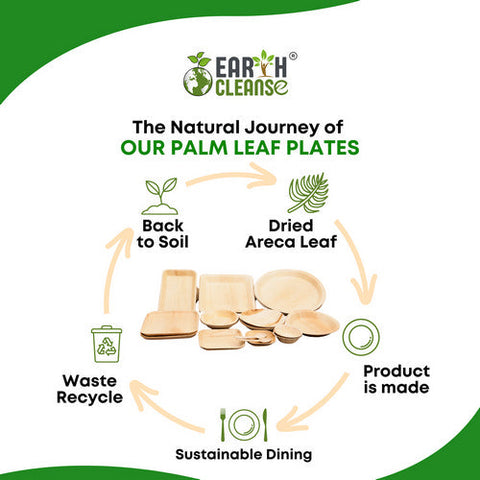 Earth Cleanse, Areca Palm Leaf Square Plates 8-Inch, Pack of 200 Earth Cleanse