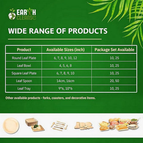 Earth Cleanse, Areca Palm Leaf Square Partition Plates 11-Inch, Pack of 75 Earth Cleanse