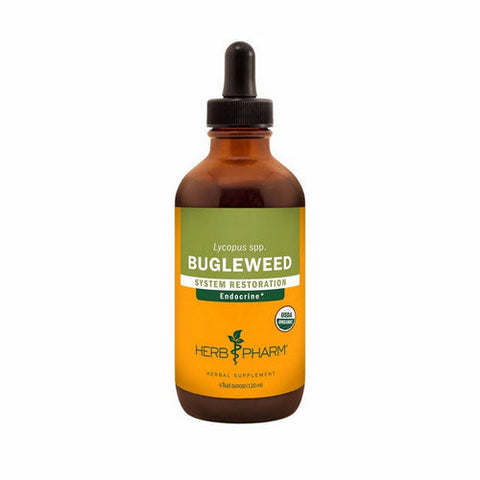 Bugleweed