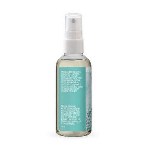 Aura Cacia, Aromatherapy Mist, Ginger/Mint 4 oz Aura Cacia
