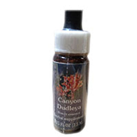 Flower Essence Services, Canyon Dudleya Dropper, 0.25 oz Flower Essence Services