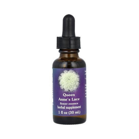 Flower Essence Services, Queen Annes Lace Dropper, 1 oz Flower Essence Services