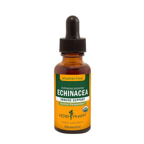 Herb Pharm, Echinacea Glycerite, 1 oz Herb Pharm